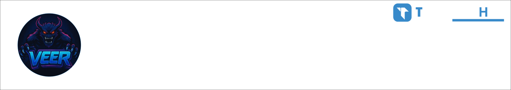 VEER Activity Banner