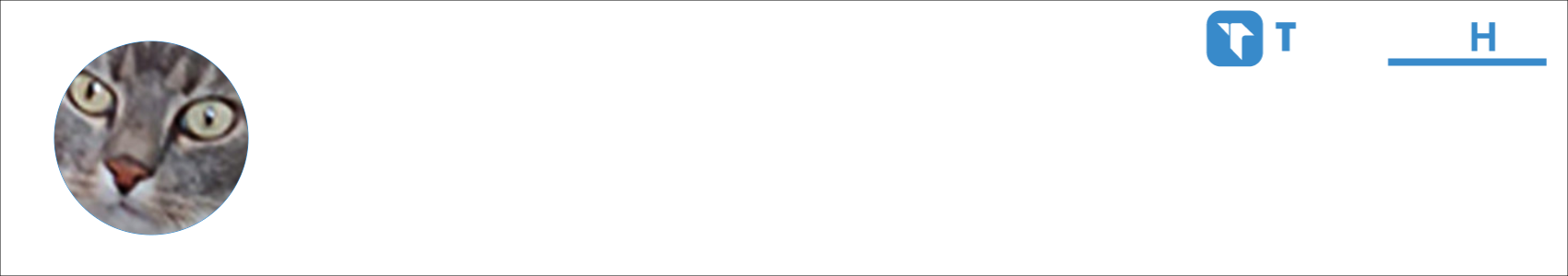 blitzz Activity Banner