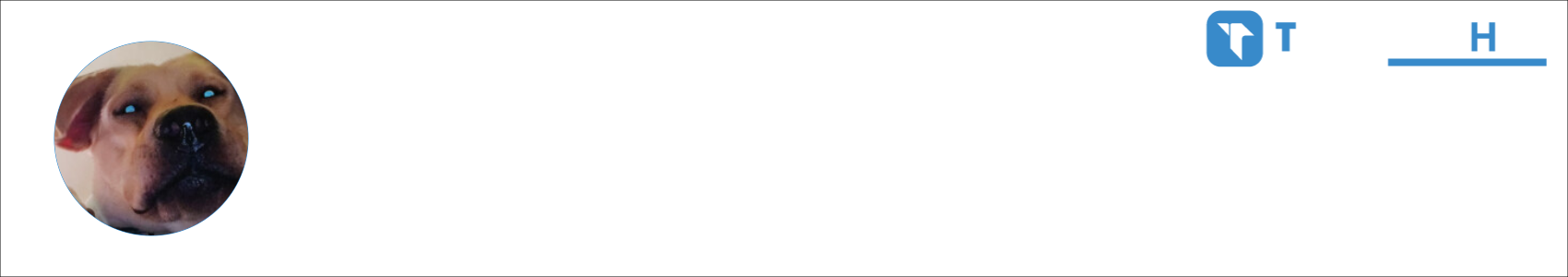 shadow the dog Activity Banner