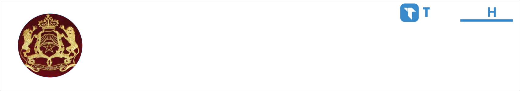 Tazi-Youssef Activity Banner