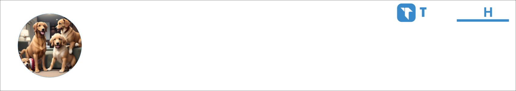 Justin Activity Banner