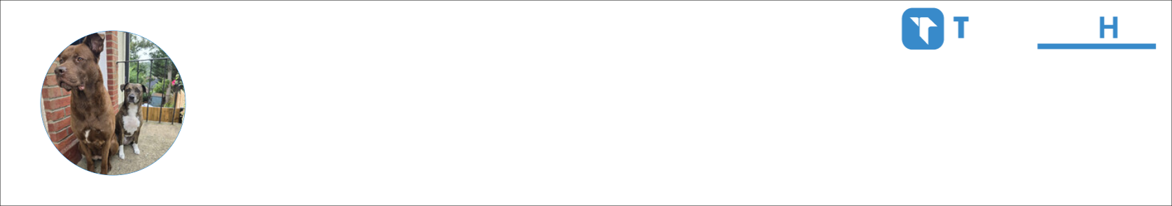 BudzLightYear Activity Banner