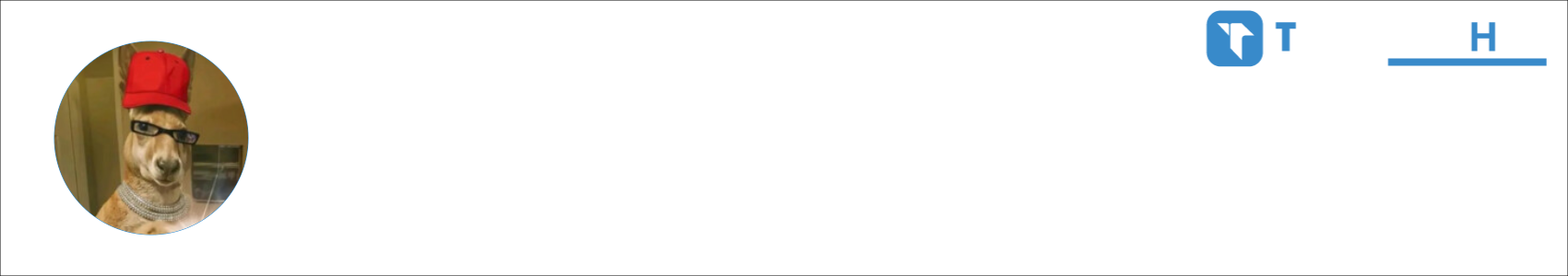 Canito Activity Banner