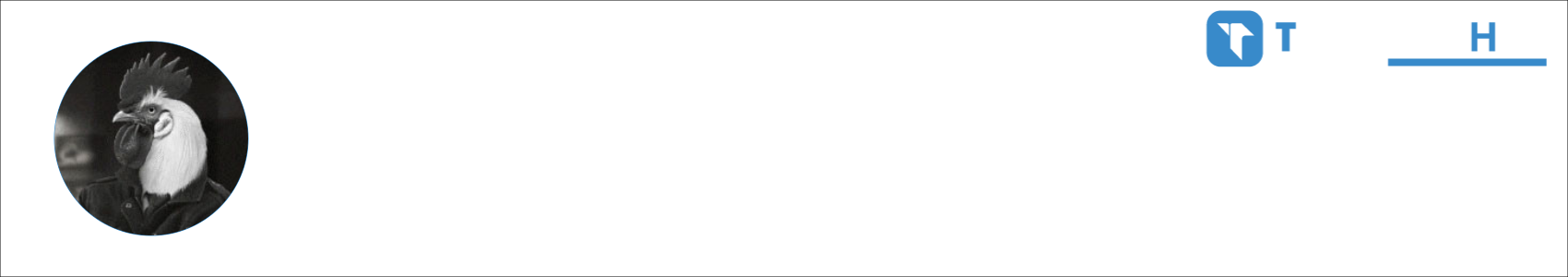 Chicken Activity Banner