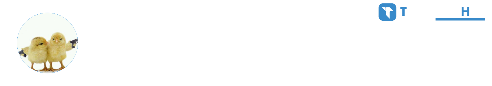 -_-1 Activity Banner