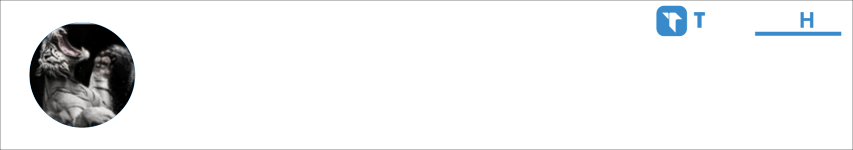 DS96 Activity Banner