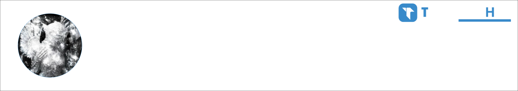 _DeepL Activity Banner