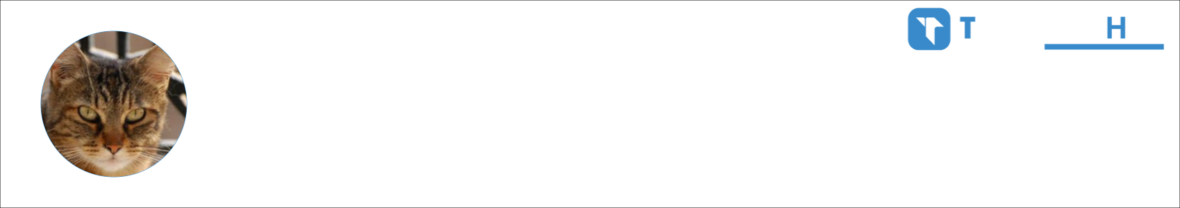 Pαlα Activity Banner