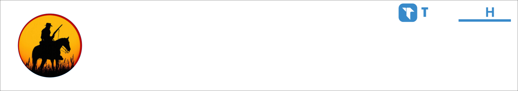 Nexuslytical Activity Banner