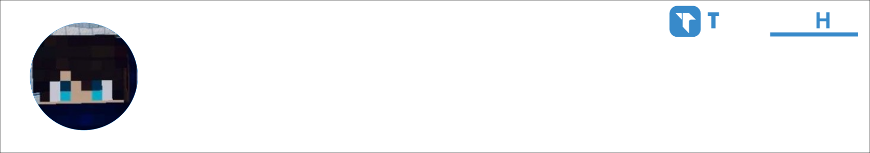 Maxi Activity Banner