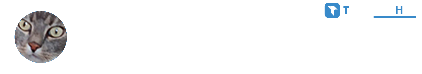 steftu Activity Banner