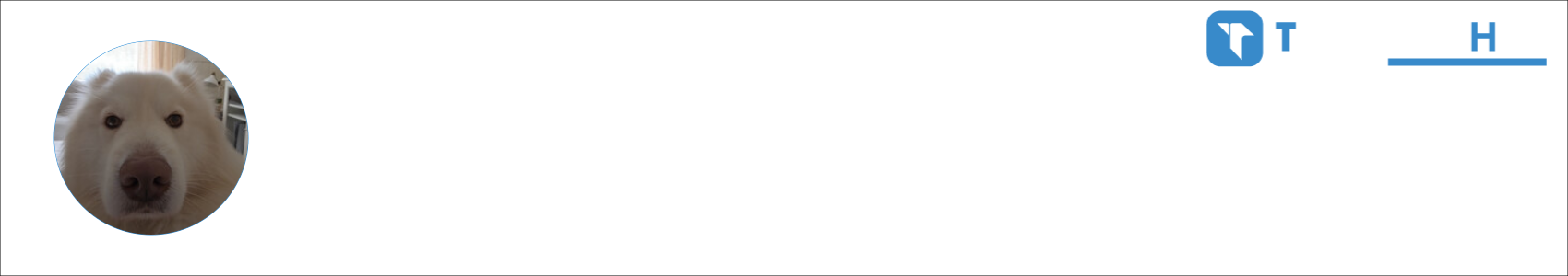 wlazzi Activity Banner