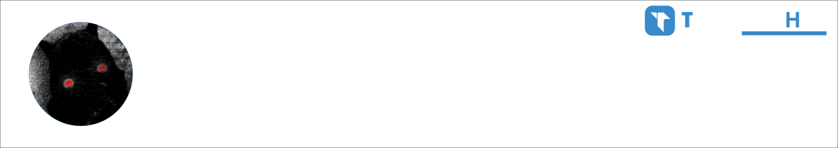 POLSKIKIEROWCA SWIRNIETY Activity Banner