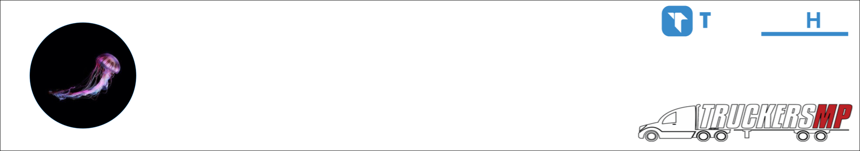 𓆩Lilly𓆪⁣𓆩Stein𓆪 Activity Banner