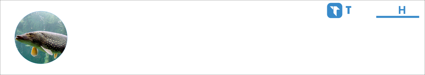 PIKE Activity Banner