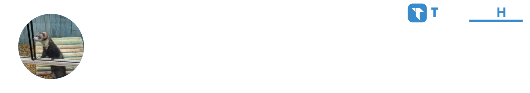 Taylor VanCamp Activity Banner