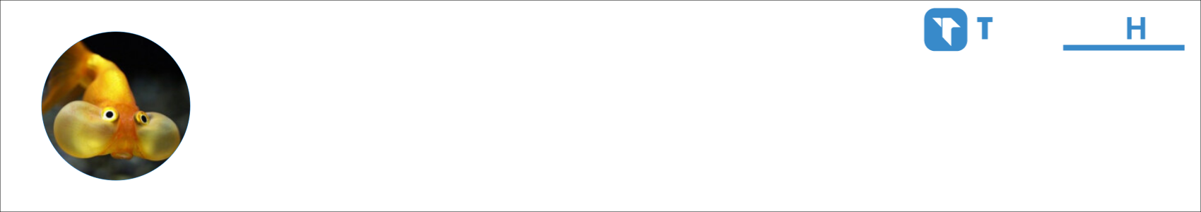 peixito Activity Banner