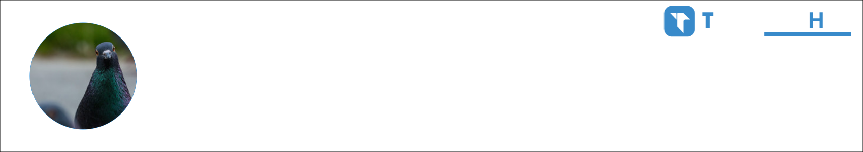 ADirtyPigeon Activity Banner