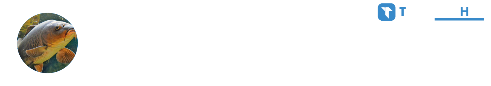 Kanfetka Activity Banner