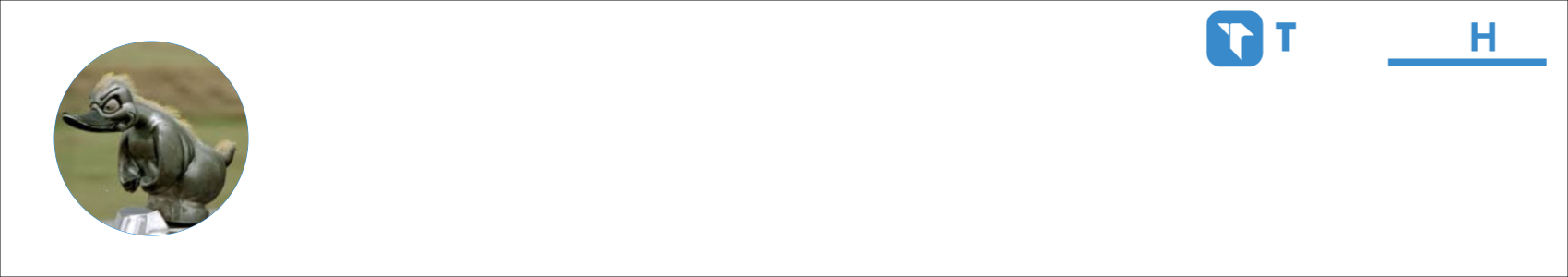 RuberDuck Activity Banner