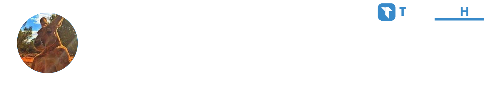 kangur Activity Banner