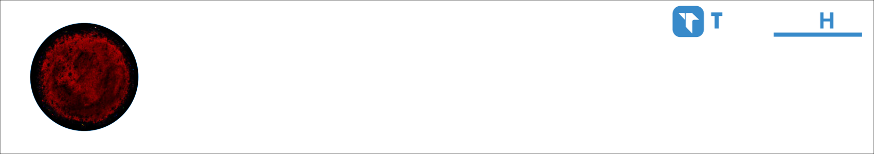 FranXXX. Activity Banner