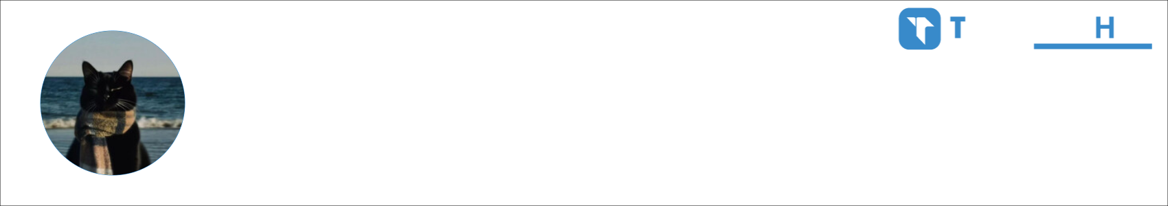 Lunar Activity Banner
