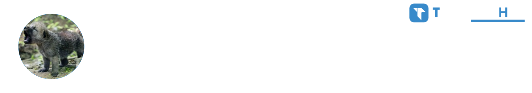 a23900 Activity Banner