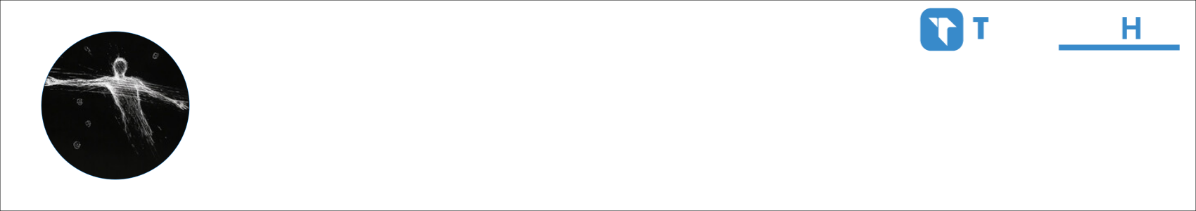 Max0n10fps Activity Banner