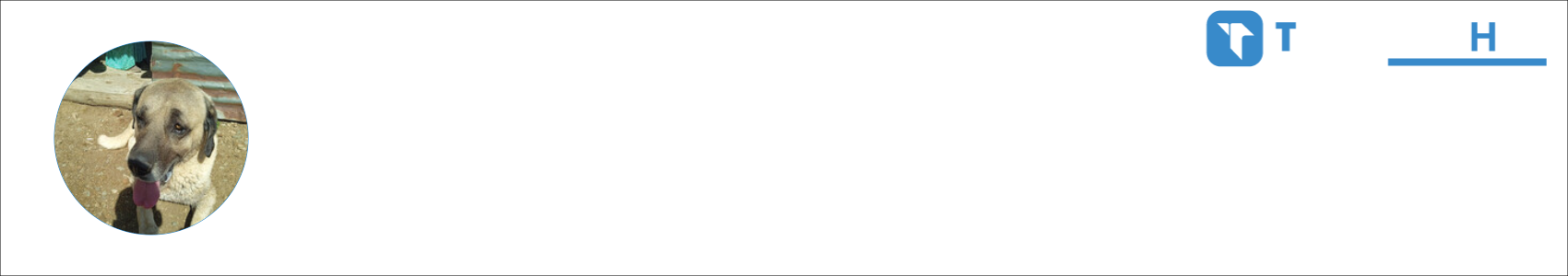 YAsİR Activity Banner