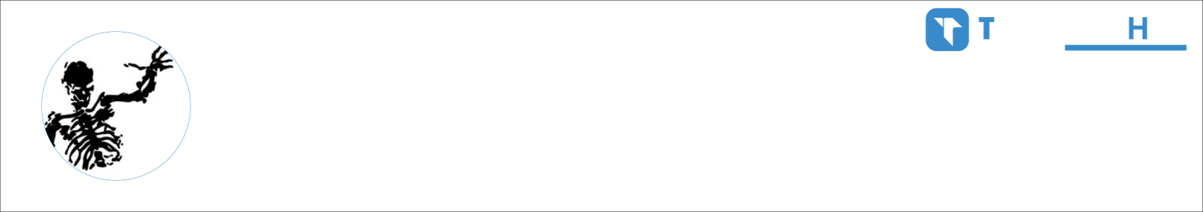 Lynch Activity Banner