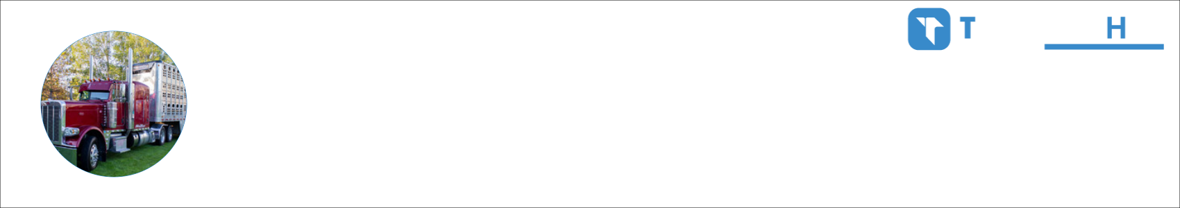 THE _ Bandit  Activity Banner