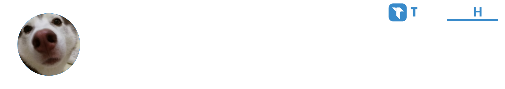 RYAN Activity Banner