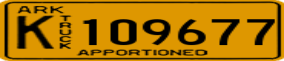 Truck License Plate