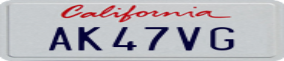 Truck License Plate