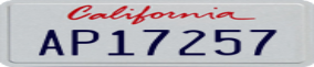 Truck License Plate