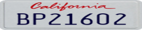 Truck License Plate