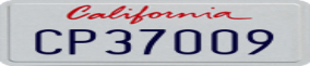 Truck License Plate