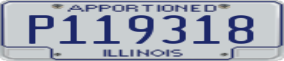 Truck License Plate