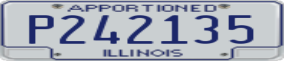 Truck License Plate