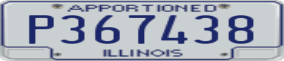 Truck License Plate