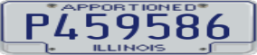 Truck License Plate