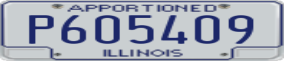 Truck License Plate