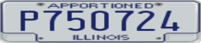 Truck License Plate