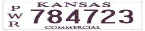 Truck License Plate