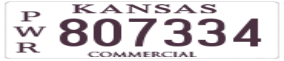 Truck License Plate