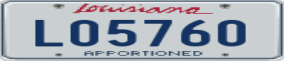 Trailer License Plate