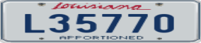 Trailer License Plate