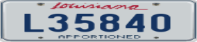 Trailer License Plate