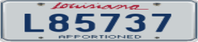 Trailer License Plate